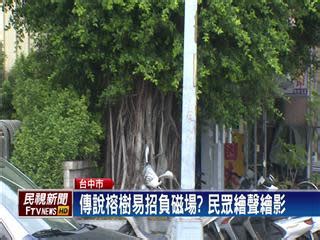 右駕口訣 榕樹招陰